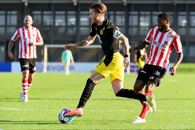 篮球迷们 篮球迷们