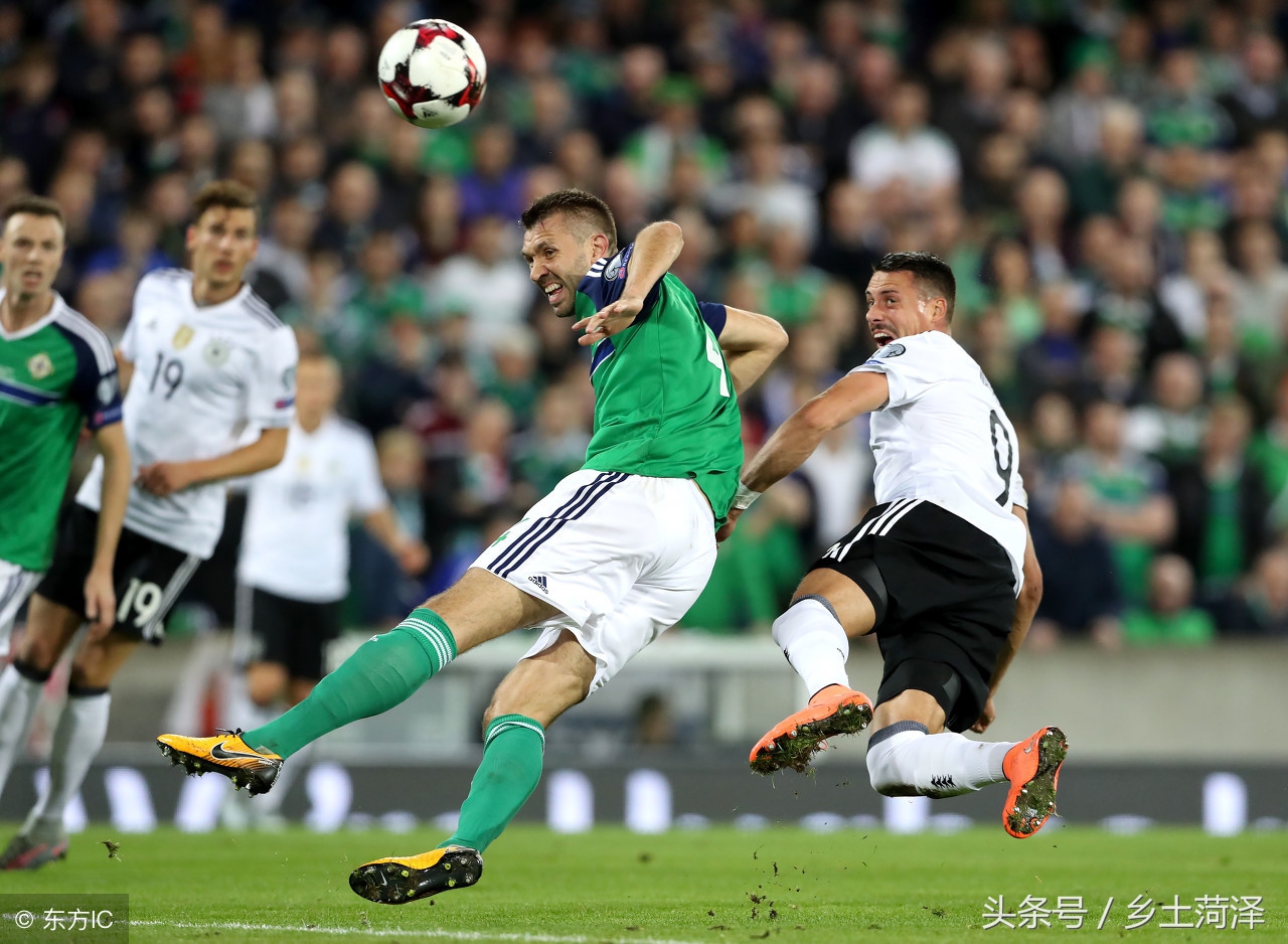 张与保守 张与保守