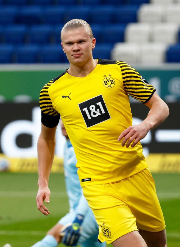 的二择局 的二择局